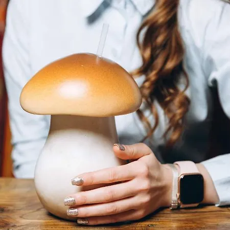 грибова хата 布克维